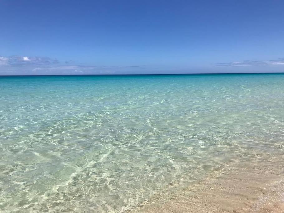 Chic&Surf Dunes View Lumineux Et Vue Superbe ! Corralejo Bagian luar foto