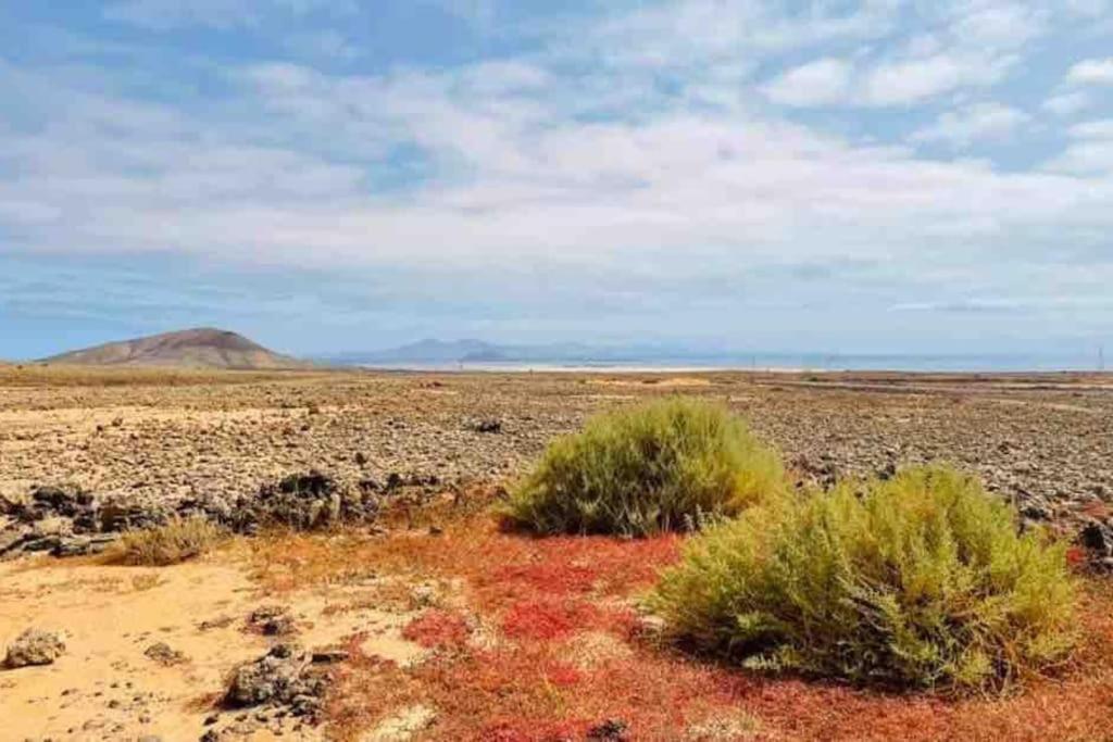 Chic&Surf Dunes View Lumineux Et Vue Superbe ! Corralejo Bagian luar foto